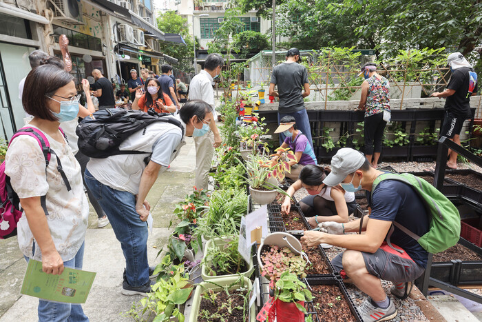 街坊自发接手义务打理社区苗圃，种植花卉，并吸引到新旧居民共同参与。